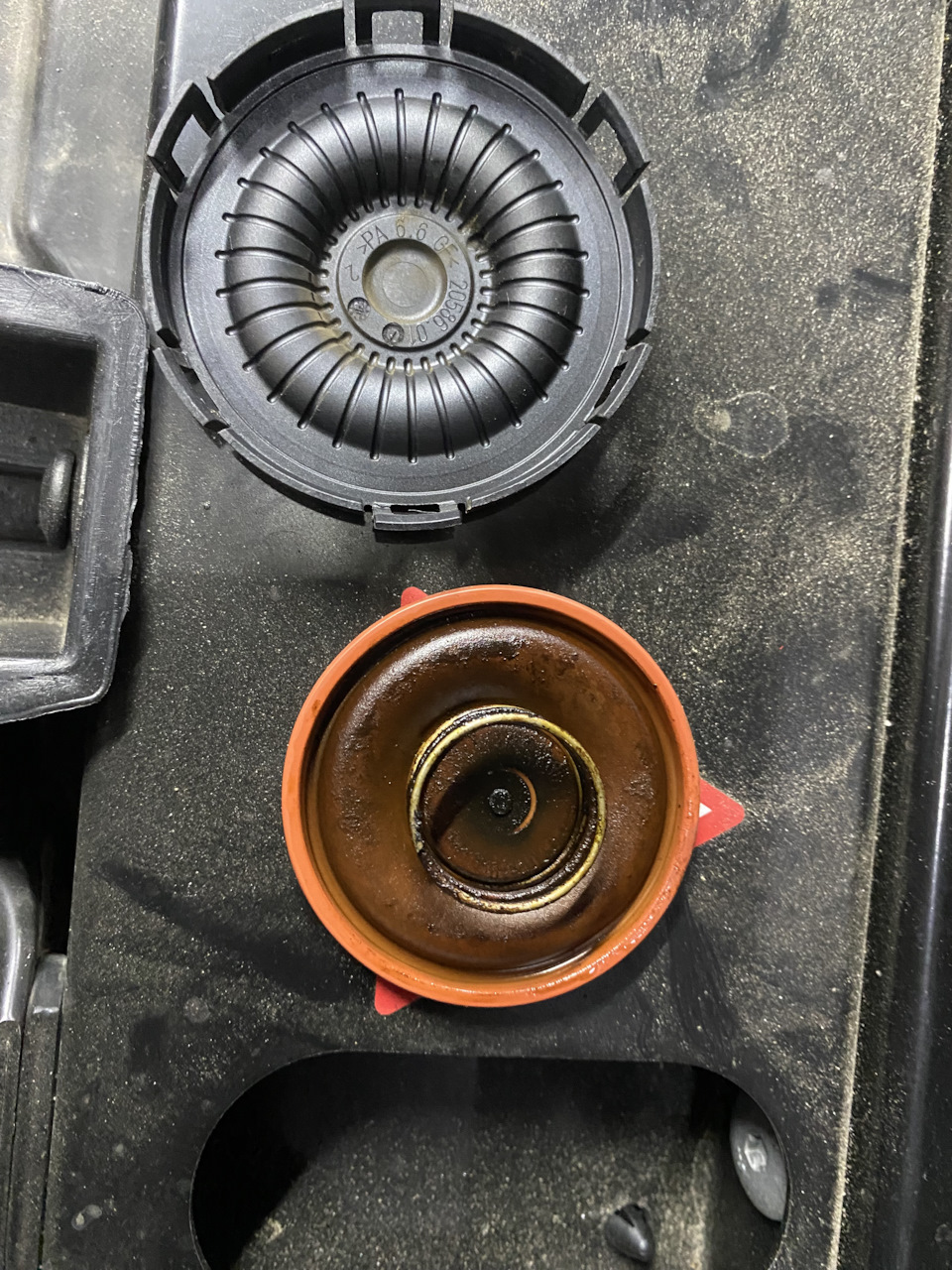 Фото в бортжурнале BMW X3 (F25)