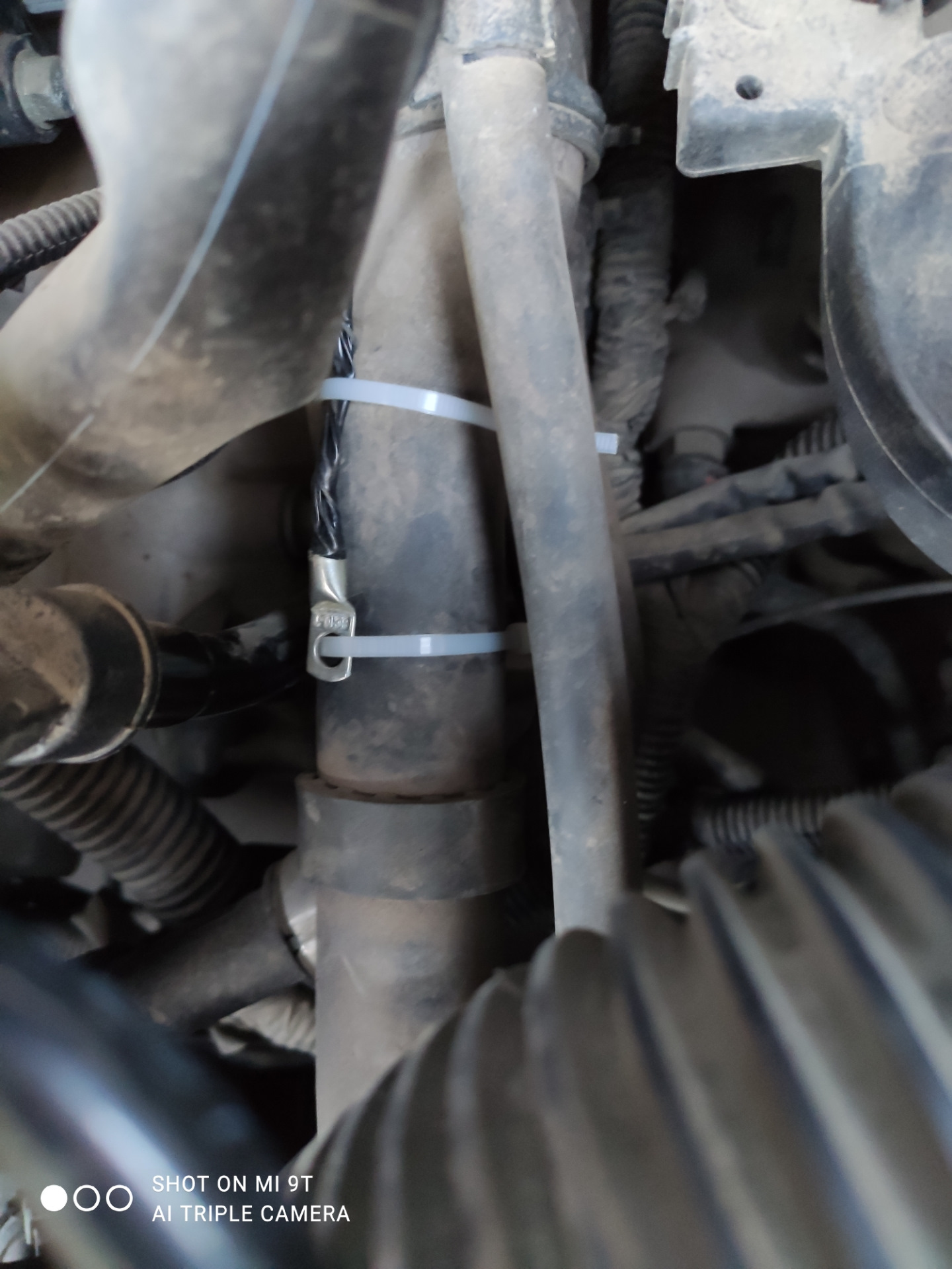 Короткие брызговики — Ford Focus Hatchback II, 1,6 л, 2008 года ...