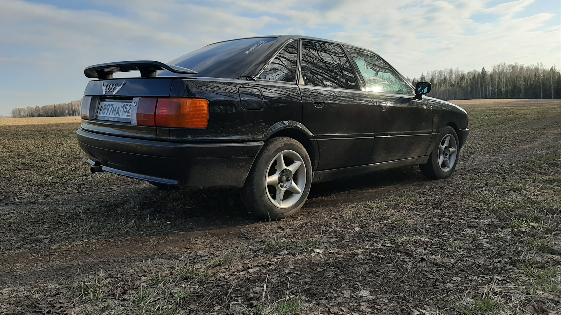 Audi 80 (B3) 1.8 бензиновый 1987 | 1.8 SF “чернушка