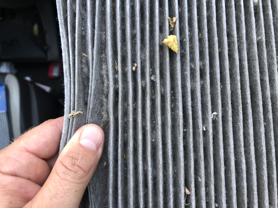 Что может скрипеть сзади? Поиск и устранение скрипа — Lada Гранта, 1,6 ...