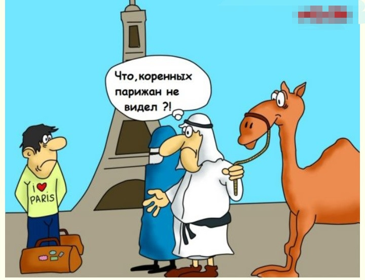 Спасибо, эмигранты смешные картинки