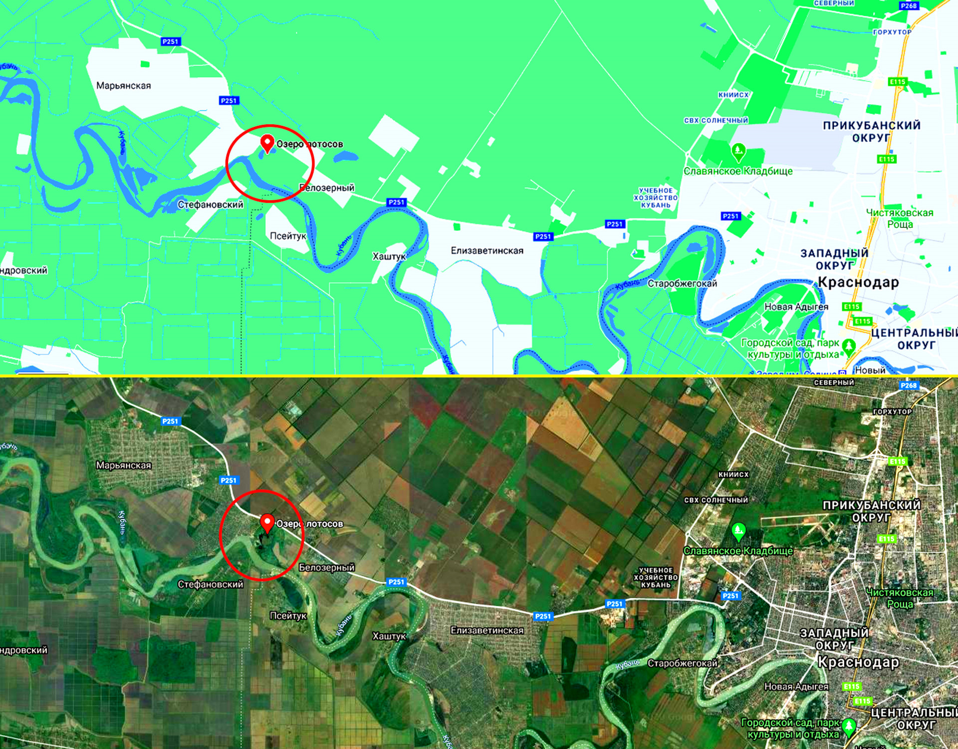 Экскурсия на озеро лотосов в поселок Дубовый ключ во Владивостоке 6 августа 2022