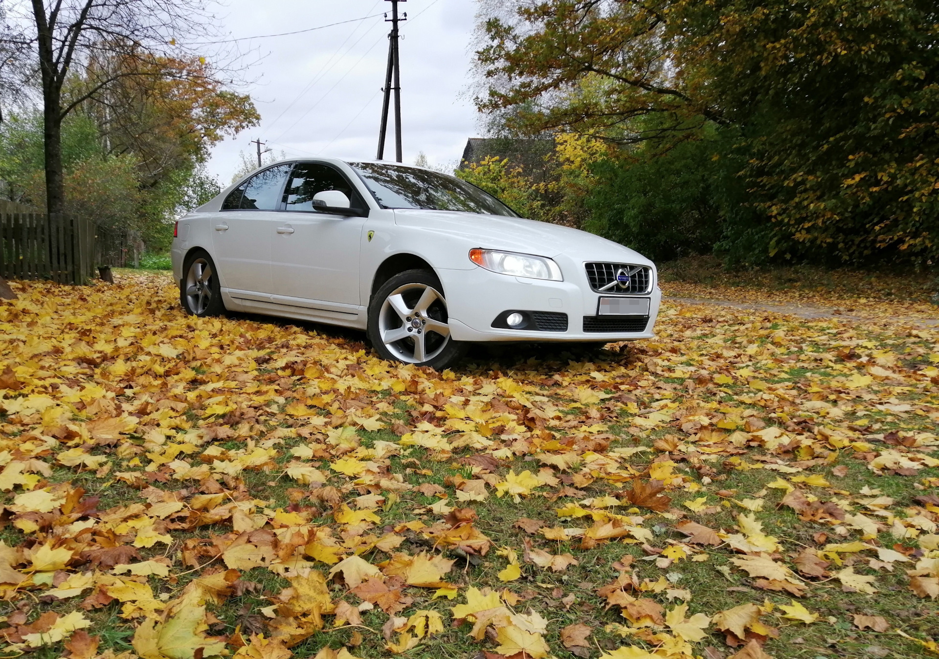 80 02. Volvo s80 autumn photo.