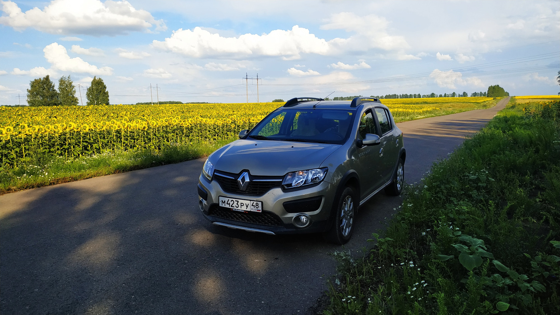Renault stepway авито