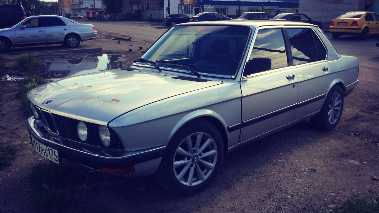 BMW e28 Shark