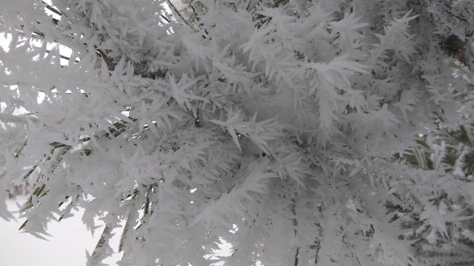 Фото в бортжурнале KIA Sorento (2G)