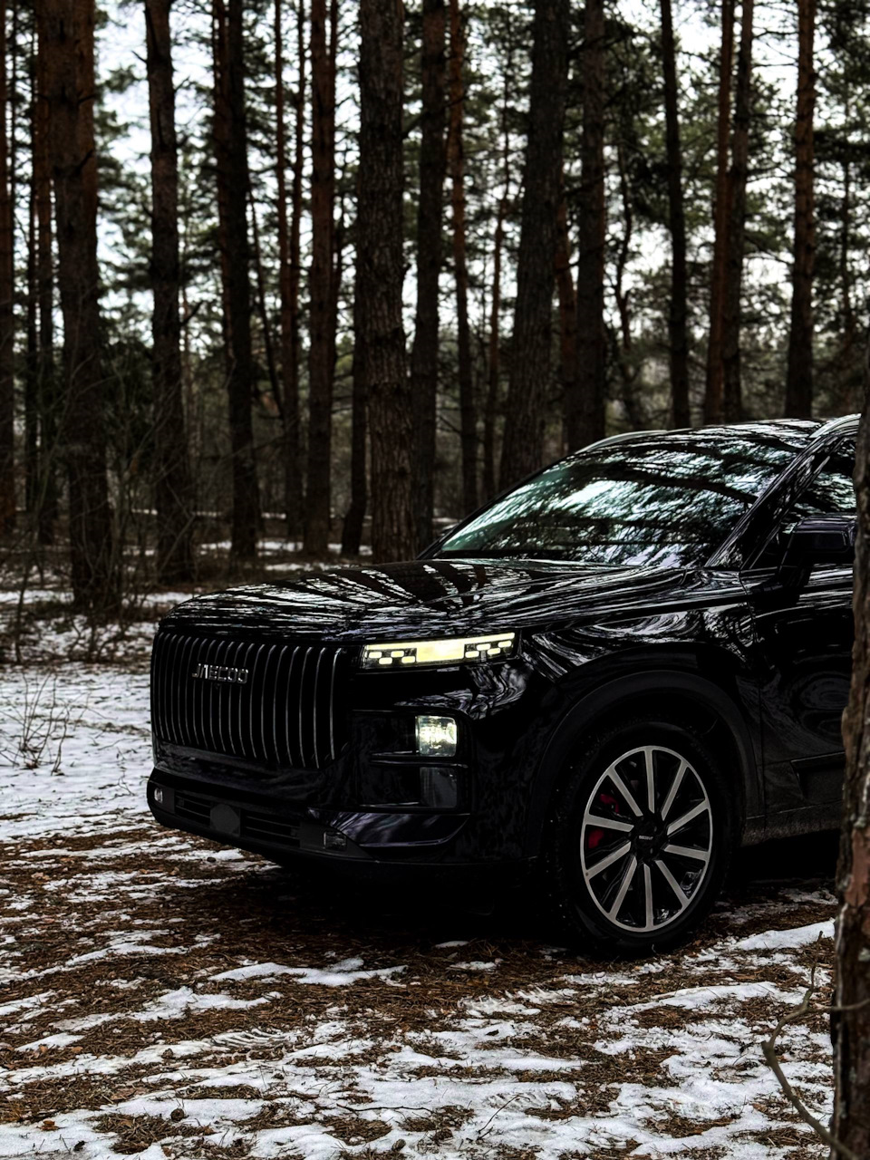 Фото в бортжурнале Jaecoo J7