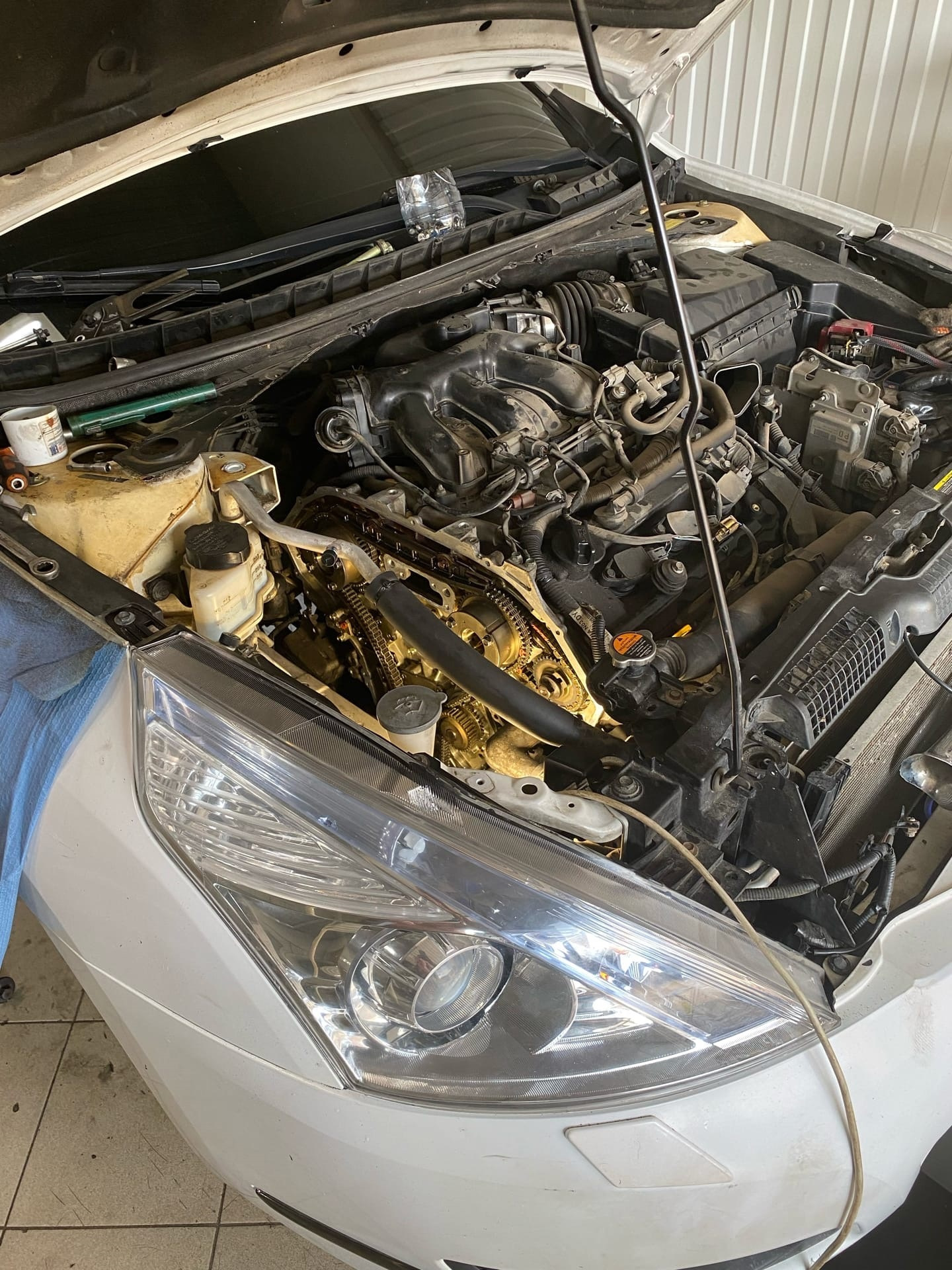 Check: P0011 и P0021 — замена прокладок маслоканалов фазиков — Nissan ...