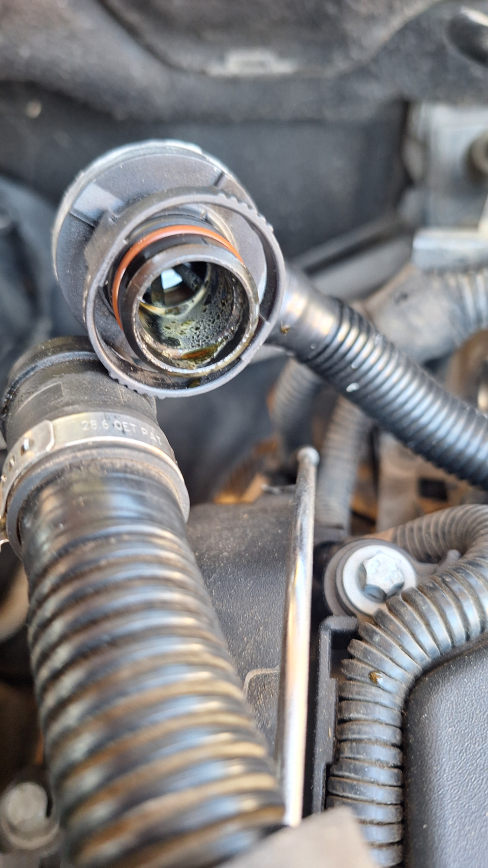 ちーずオーダーページ Шипение — Opel Astra J, 1,6 л, 2011 года | наблюдение | DRIVE2