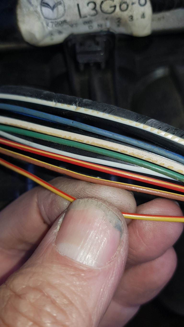 Желто черный провод. Зеленый провод коробки. Кабель 25 мм2 cu (желтый / зеленый). Провод пгва 1. Провода на сигнал приора.