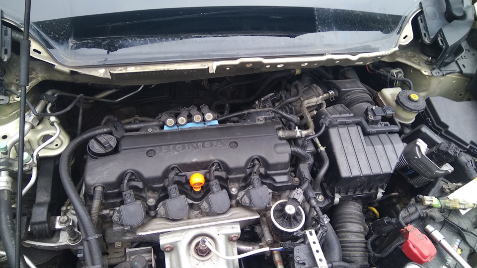 Логотип 3d без фона. Без d4. Тонировка хонда цивик 4д. Civic 4d тонировка. Тойота хайлюкс двигатель 2.