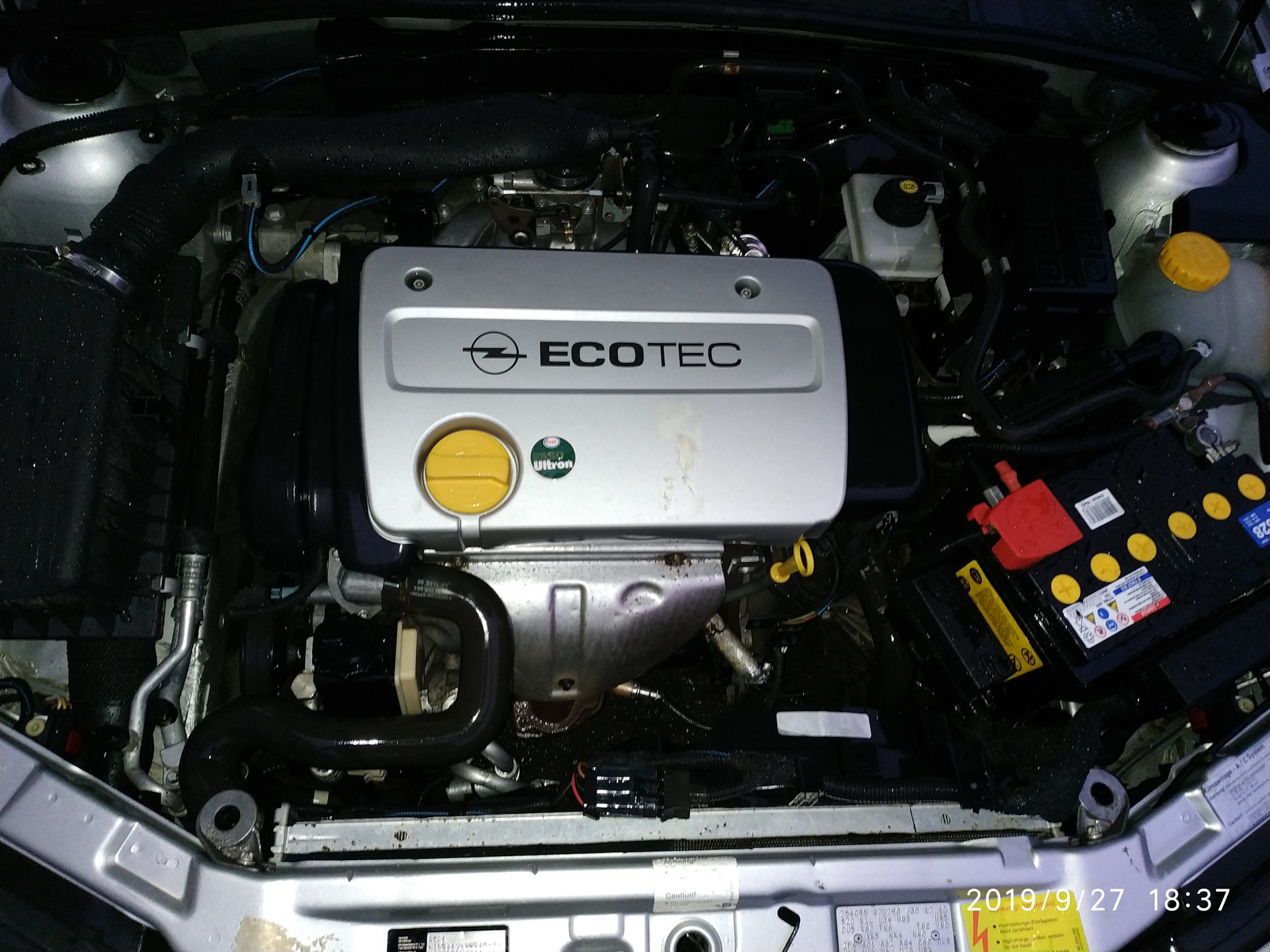 Течь клапанной крышки 1.6 i 16V X16XEL — Opel Vectra B, 1,6 л, 2000 ...