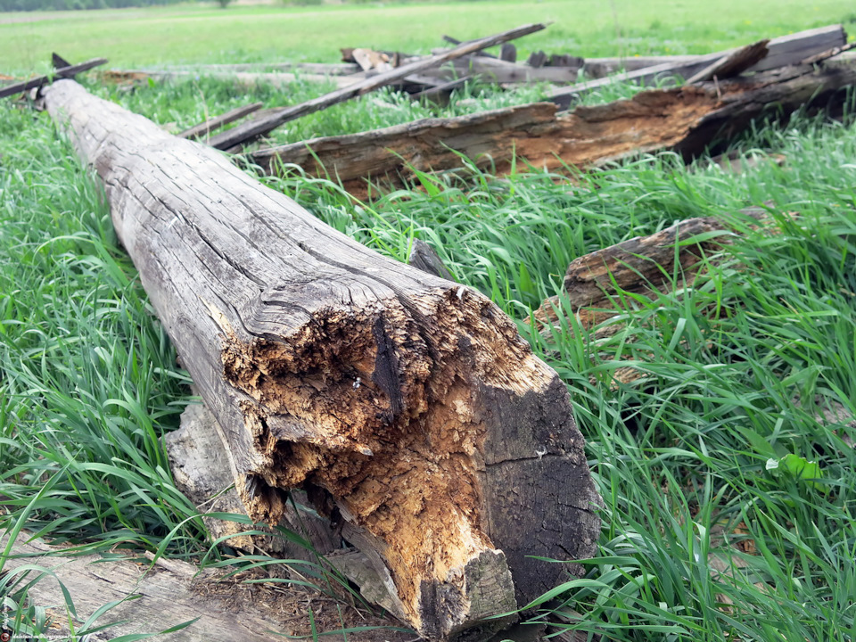 заброшенные храмы рязанской области. Смотреть фото заброшенные храмы рязанской области. Смотреть картинку заброшенные храмы рязанской области. Картинка про заброшенные храмы рязанской области. Фото заброшенные храмы рязанской области заброшенные храмы рязанской области. Смотреть фото заброшенные храмы рязанской области. Смотреть картинку заброшенные храмы рязанской области. Картинка про заброшенные храмы рязанской области. Фото заброшенные храмы рязанской области