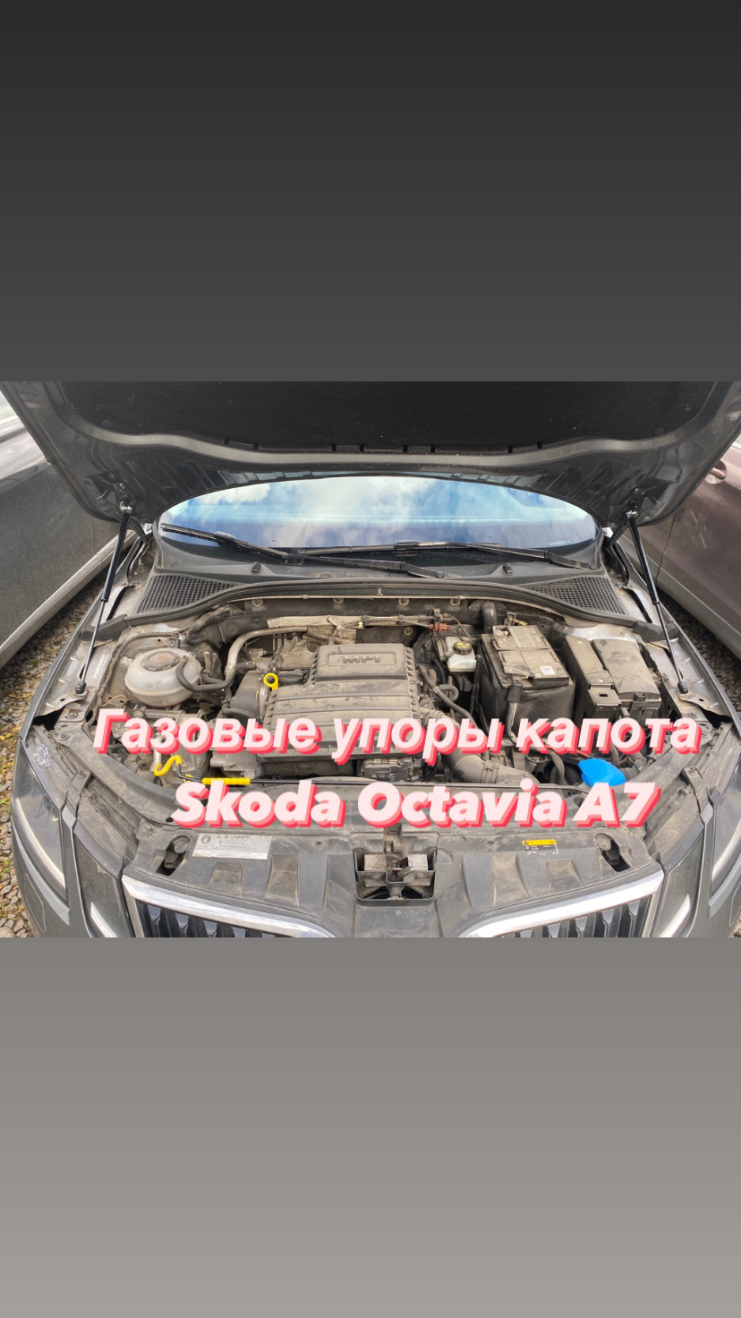 Упоры — Skoda Octavia A7 Mk3, 1,6 л, 2018 года | аксессуары | DRIVE2