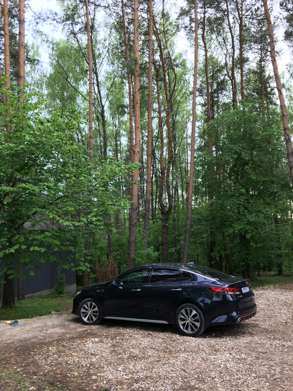 высота сидения в Оптиме — KIA Optima (4G), 2,4 л, 2017 года | наблюдение |  DRIVE2