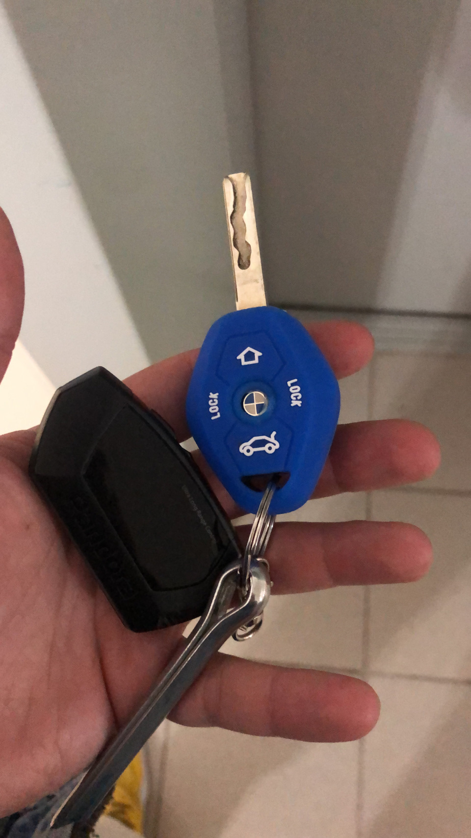 Плюшки для БМВушки — BMW X3 (E83), 3 л, 2007 года | аксессуары | DRIVE2