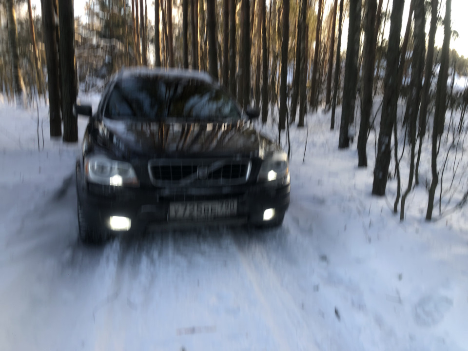 В лесу . Красота ) — Volvo XC90 (1G)