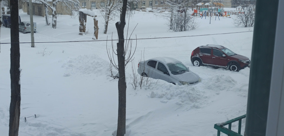 После того как откопал её! — Toyota Echo