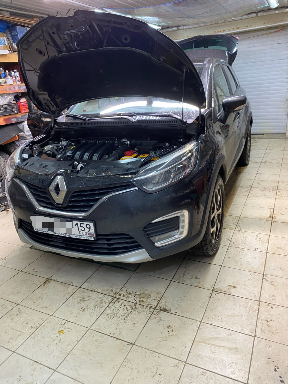 Фото в бортжурнале Renault Kaptur (2016)