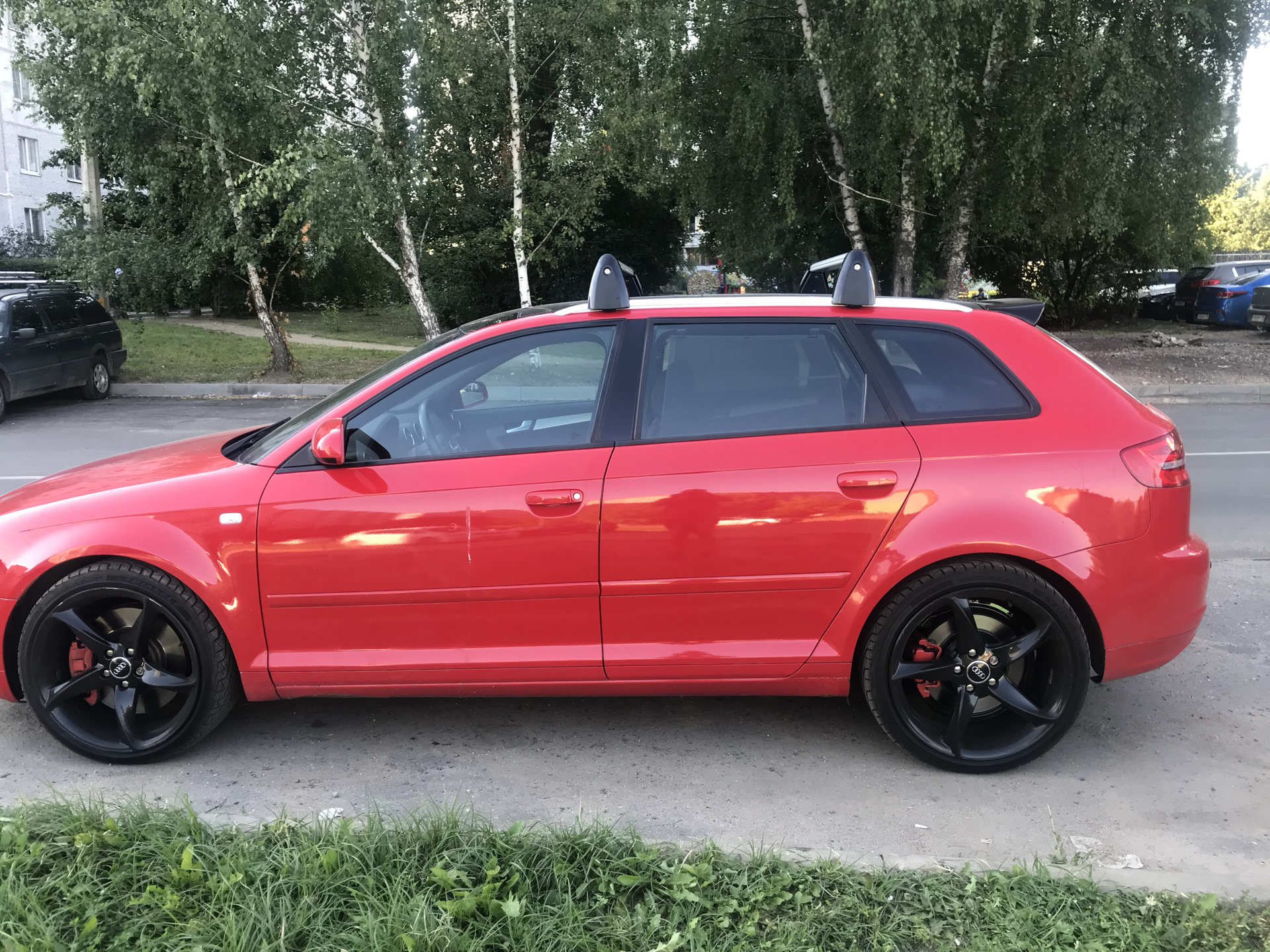 Рейлинги Audi a3 8p