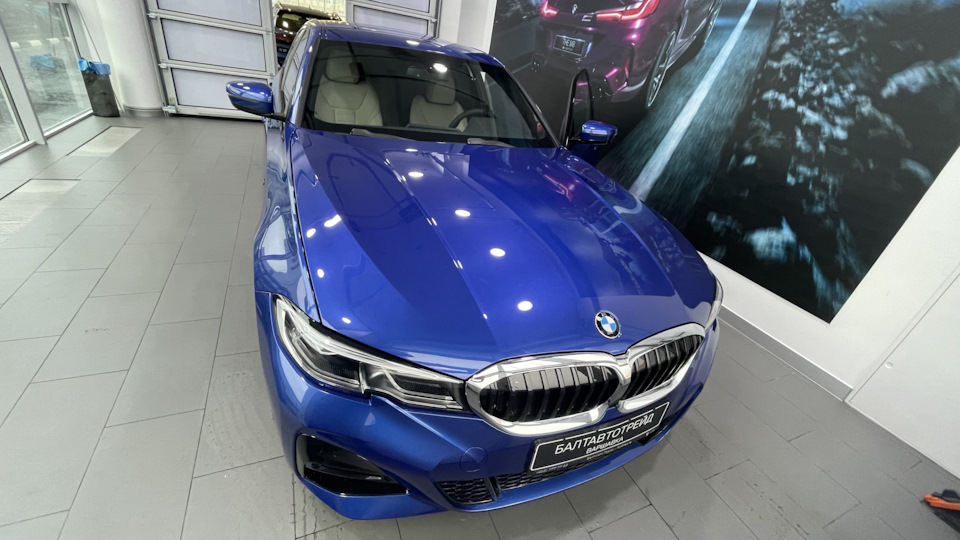 Устричный цвет салона авто