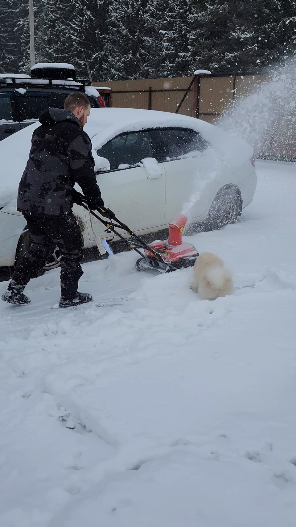 Фото в бортжурнале Great Wall Hover