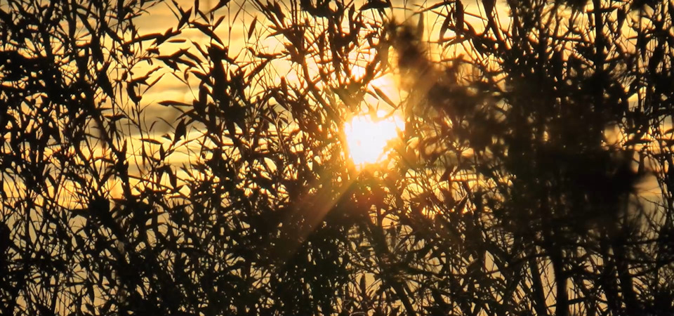 Фото в бортжурнале Mitsubishi Pajero Sport (2G)