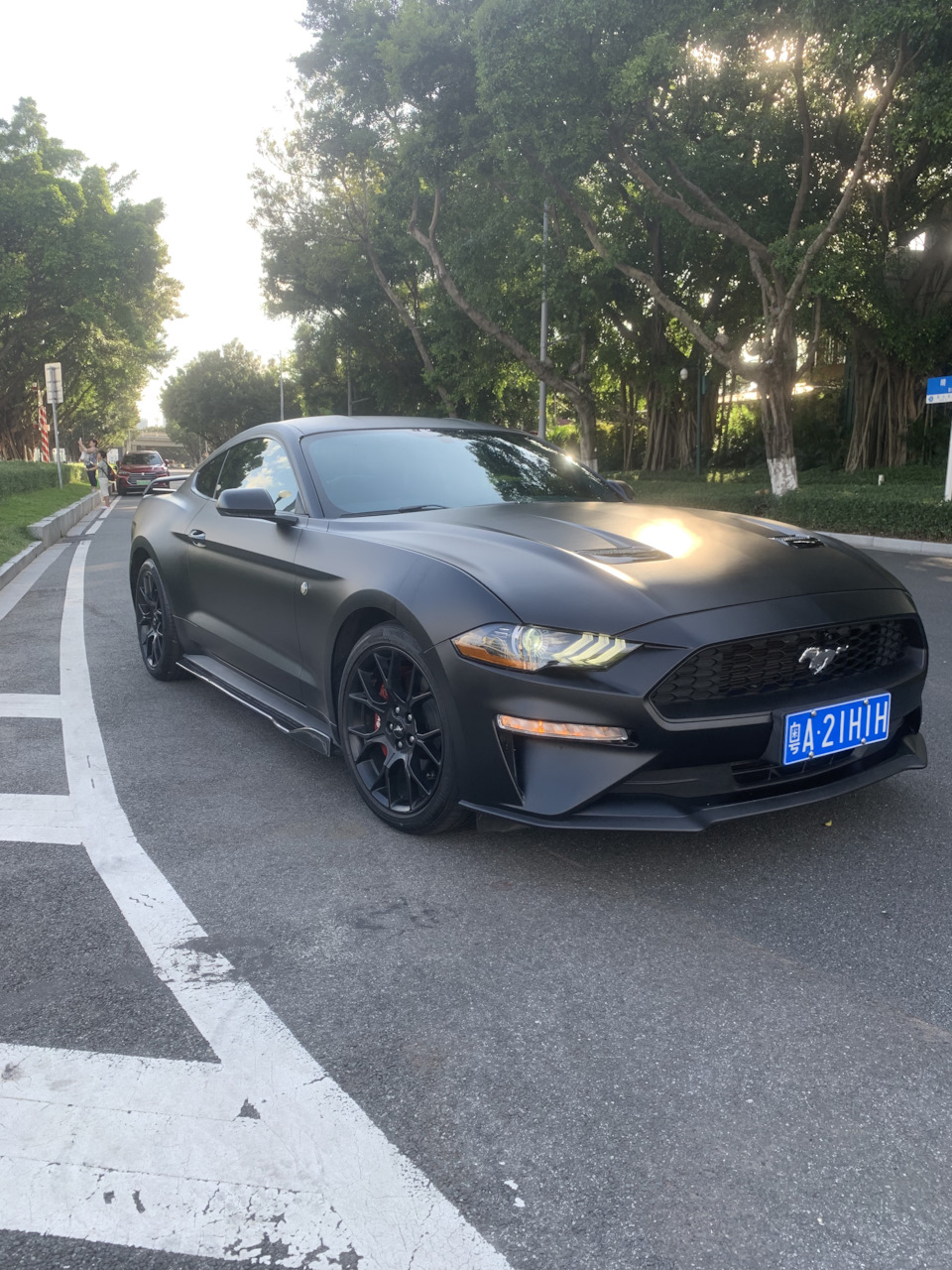 Черный Мустанг, лучше чем синий? — Ford Mustang (6G), 2,3 л, 2019 года ...