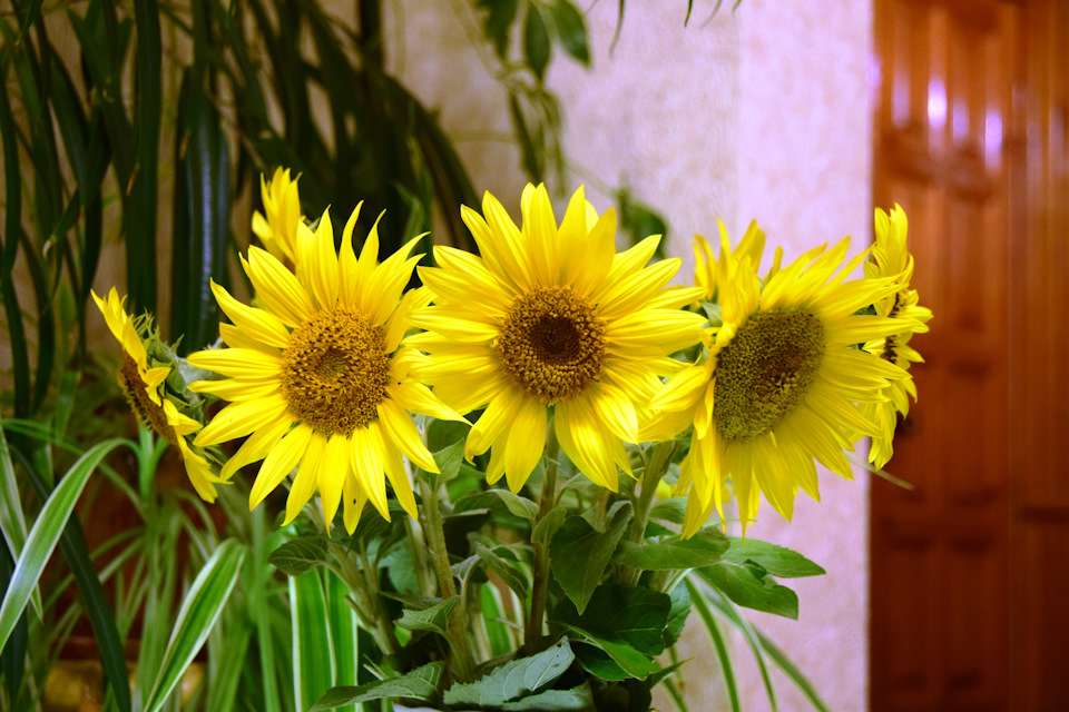 Калибровка ГБО форсунок. — Chery Tiggo, 2 л., 2008 года | своими руками ...