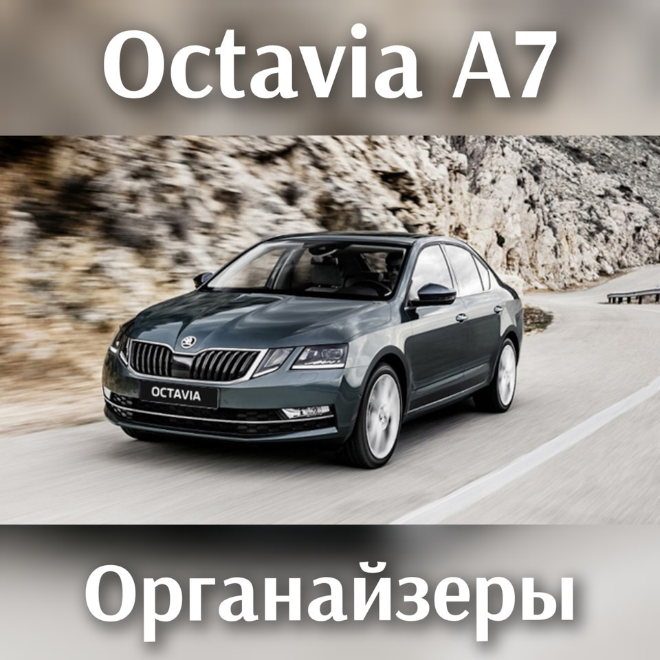 Органайзер в багажник Skoda Octavia A7 на Skoda Octavia A7 Mk3. | 1 300 ₽ в  городе Тула | DRIVE2