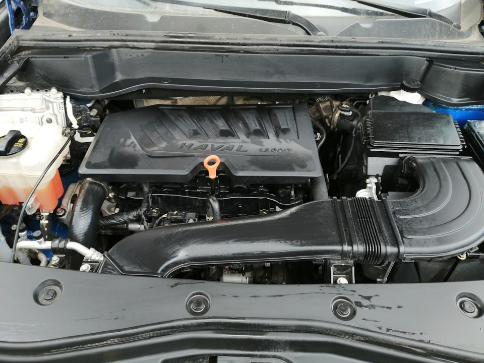 Мойка двигана — Haval F7, 1,5 л, 2021 года | мойка | DRIVE2