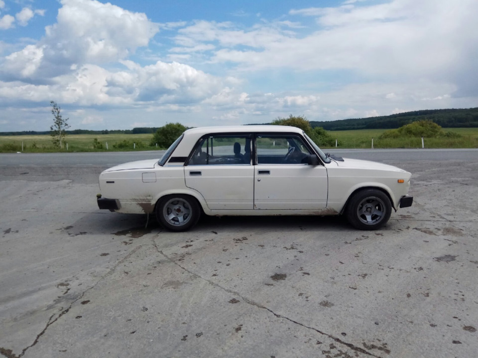 Сака иванцети