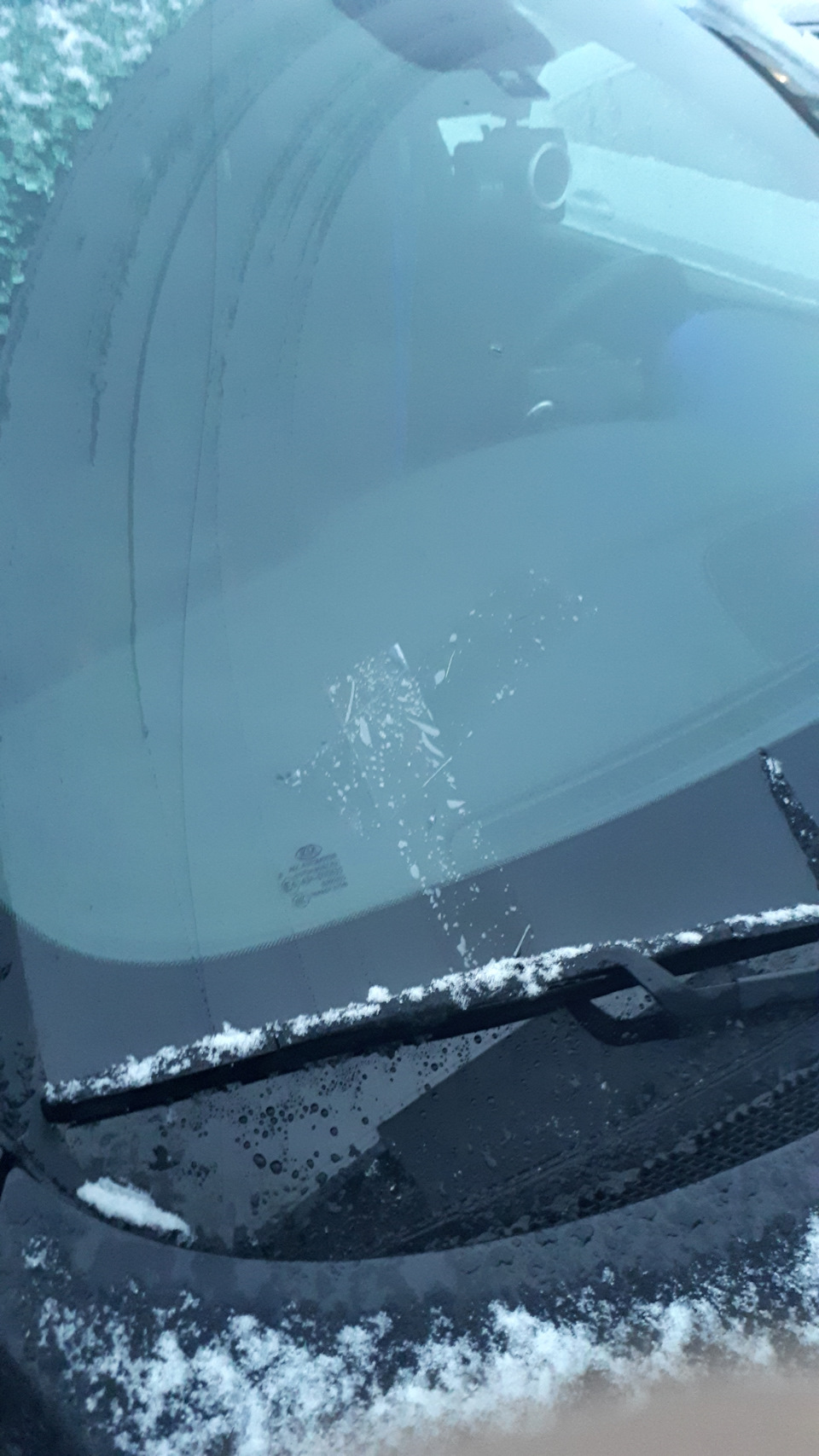 Surprise m0therfckrs — KIA Sportage (4G), 2 л, 2018 года | своими ...