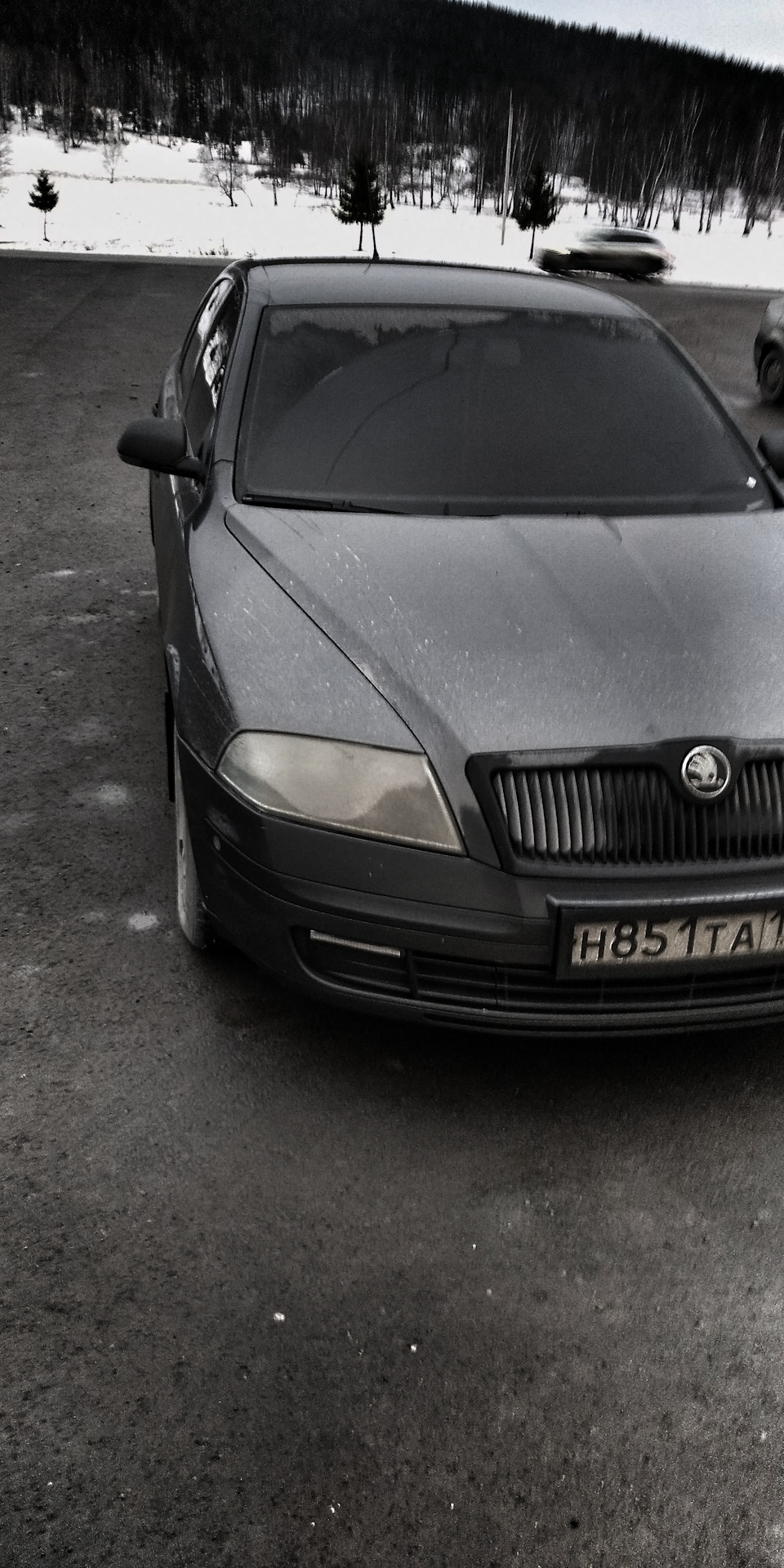 Муляж шторок на номера ( широкие номерные рамки) — Skoda Octavia A5 Mk2,  1,6 л, 2006 года | стайлинг | DRIVE2