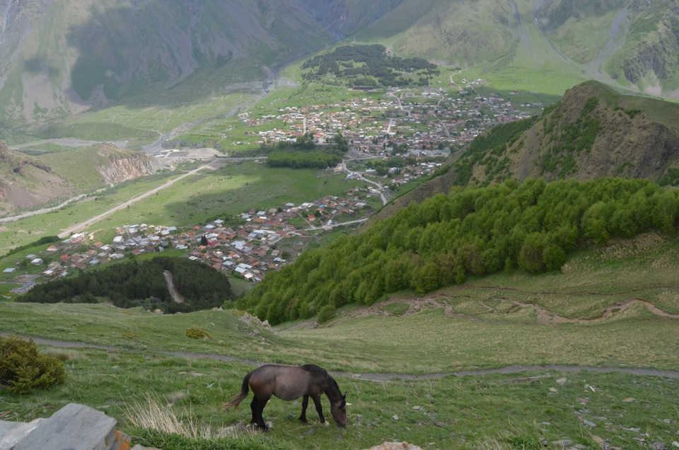 Фото в бортжурнале УАЗ Patriot