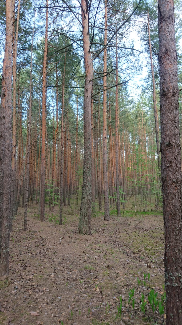 Фото в бортжурнале Mitsubishi Pajero Sport (3G)