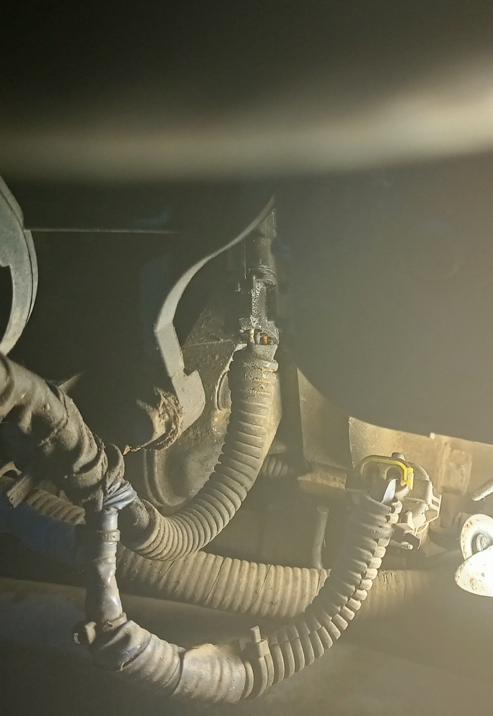 Фото в бортжурнале KIA Ceed (1G)