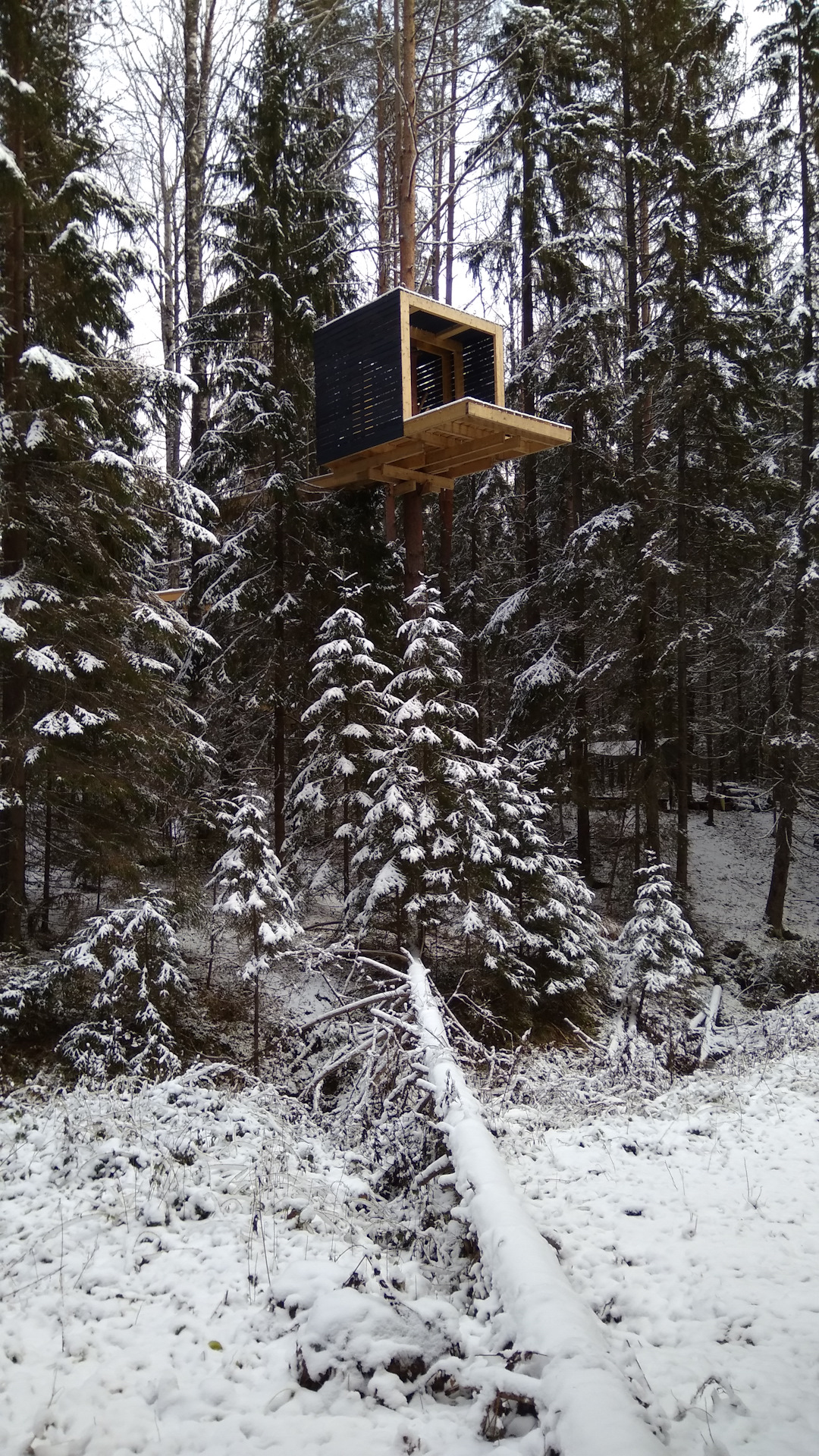 Поездка в Асташово: Лесной терем — Hyundai Creta (1G), 1,6 л, 2017 года ...