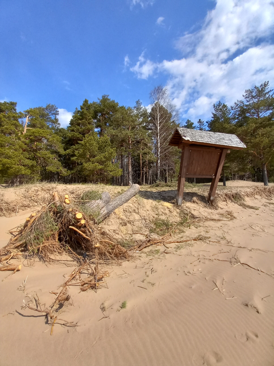 Фото в бортжурнале Renault Sandero 2G