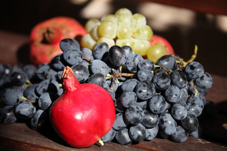 Масло в двигатель PEUGEOT 307SW — Peugeot 307 SW, 1,6 л, 2004 года ...