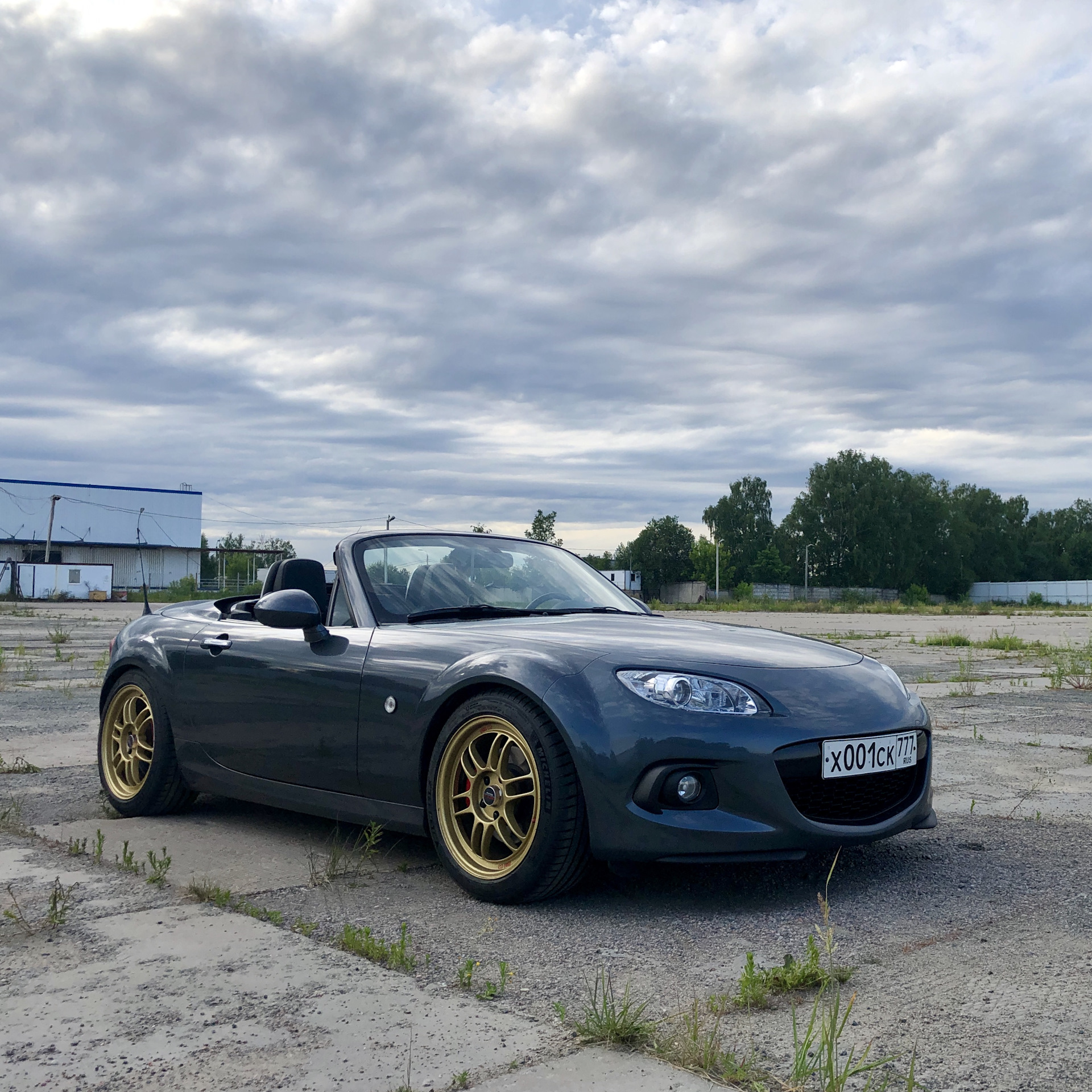 MX 5 Simpson