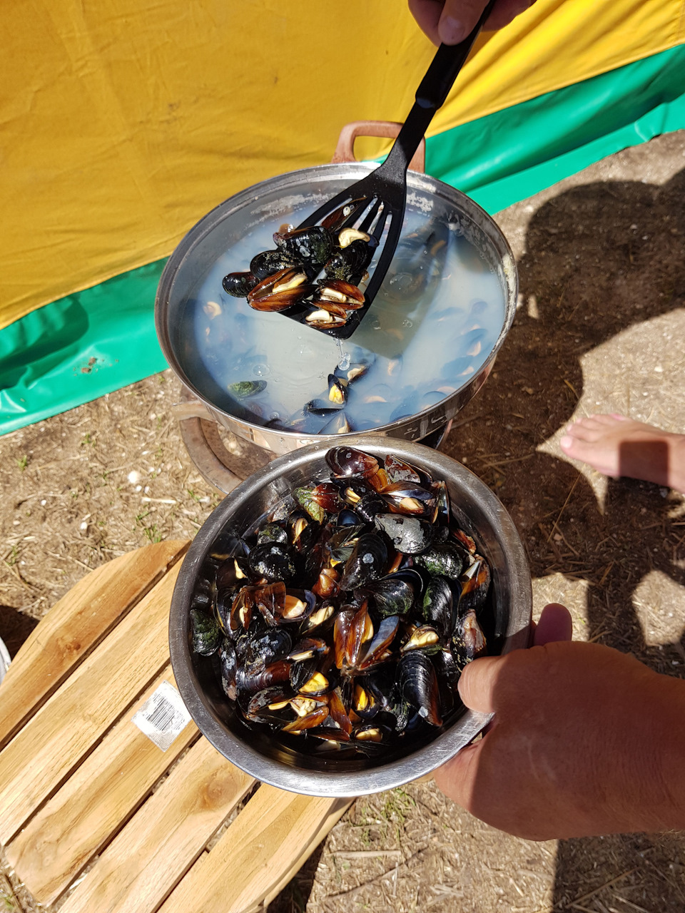 Мидии. — Nissan NP300