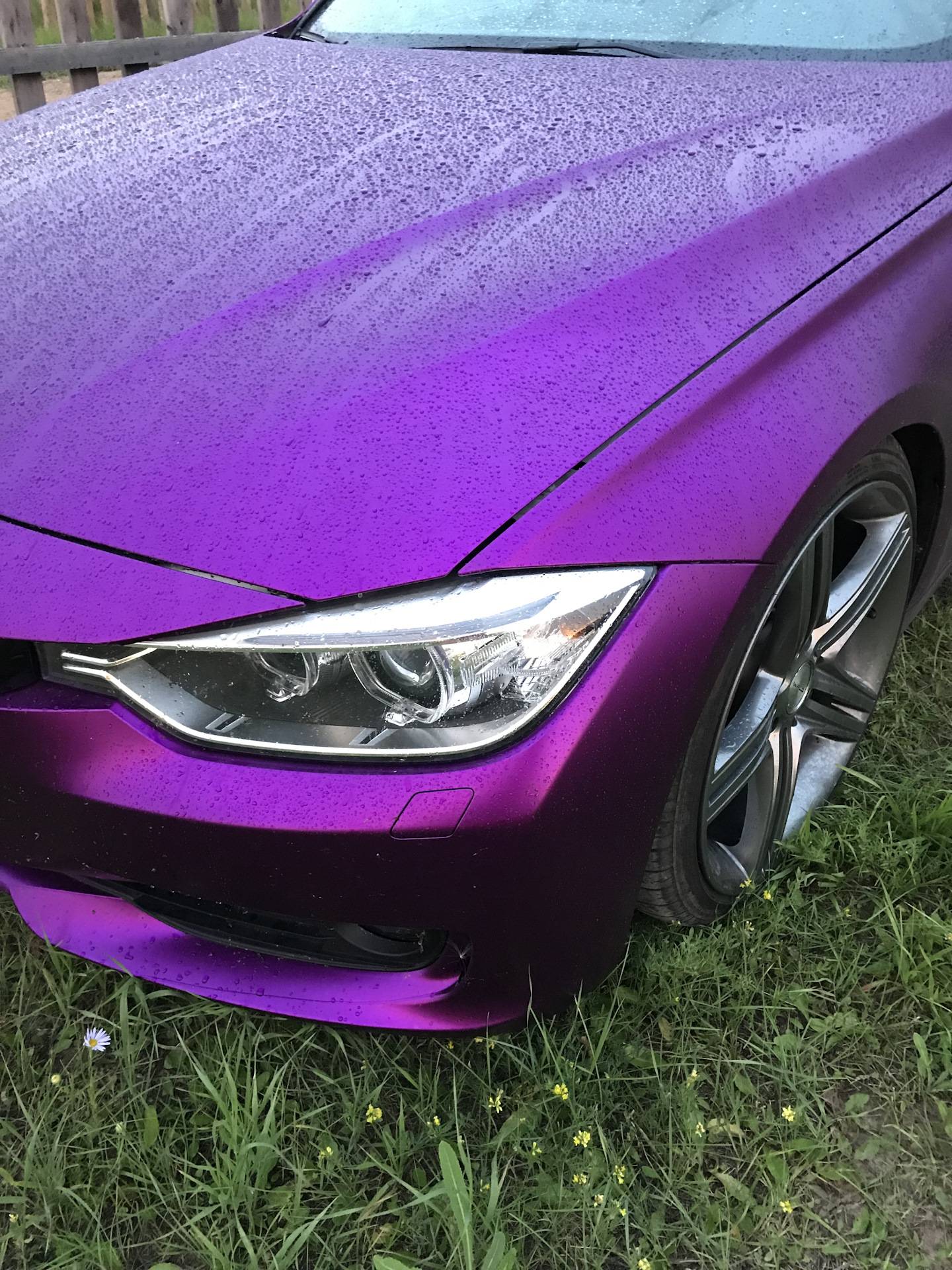 Фиолетовый хамелеон. Мазда 6 матовый хром фиолетовый. Mazda 6 фиолетовая. Мазда 6 в пленке хамелеон. Мазда 6 розовая матовая.