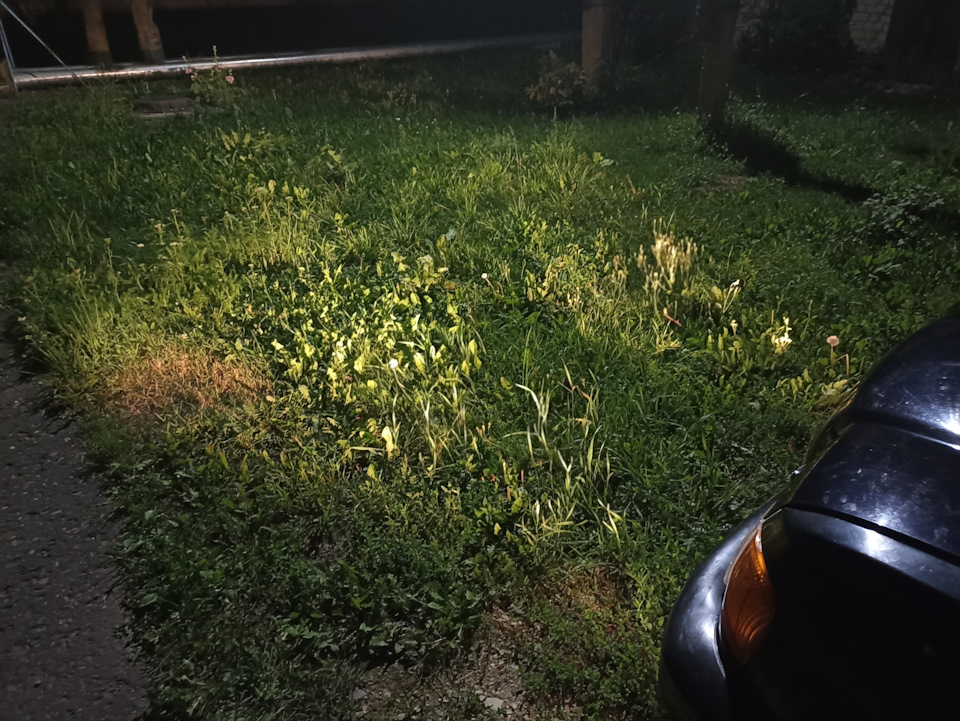 Вот так светят — ГАЗ 3110