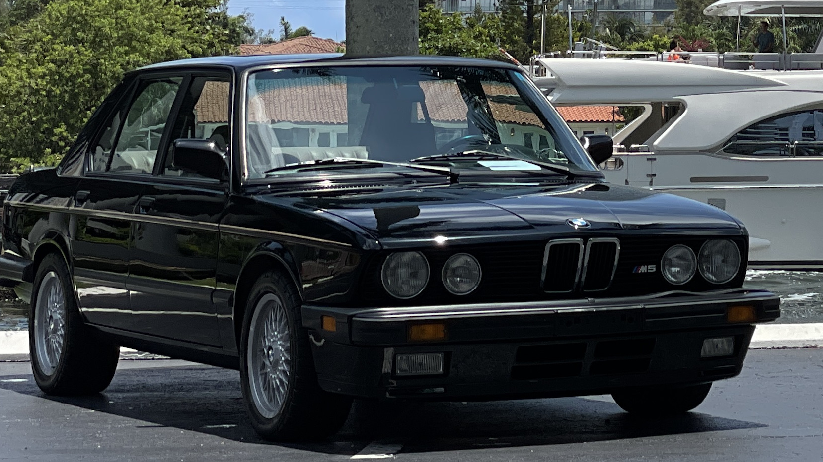 BMW M5 (E28) 3.5 бензиновый 1988 | Акула на DRIVE2