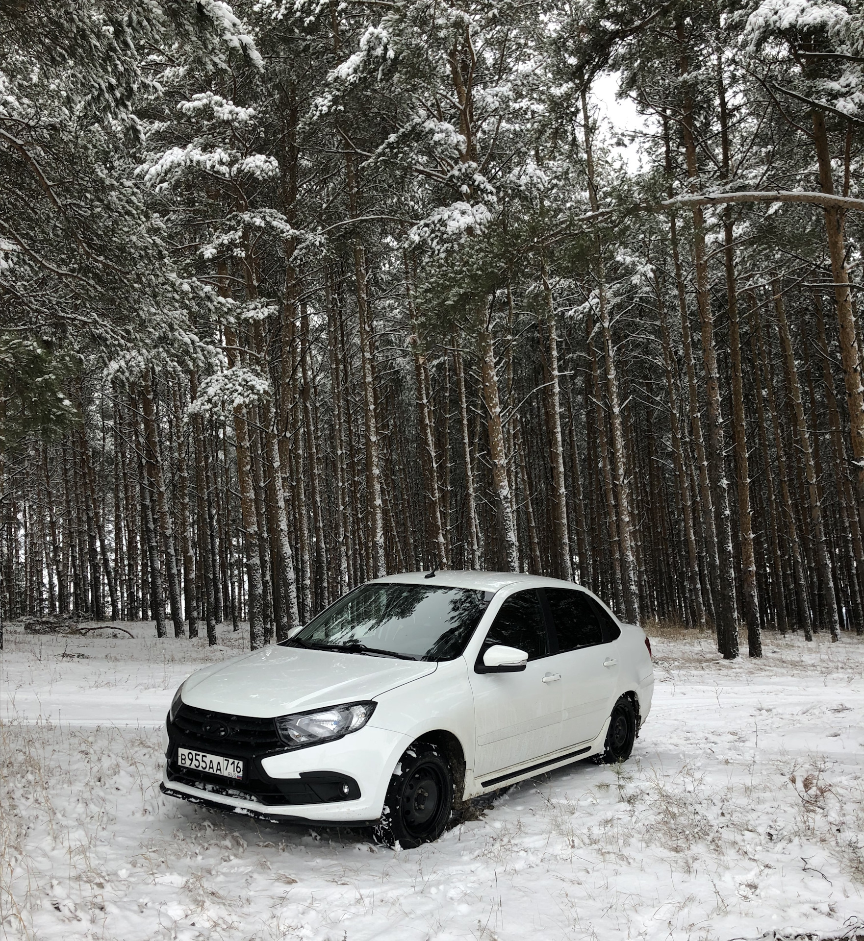 Аа белая зима. Лада Гранта фл. Lada Granta FL зима. Lada Granta FL зимой. Лада Гранта 2020 зима.