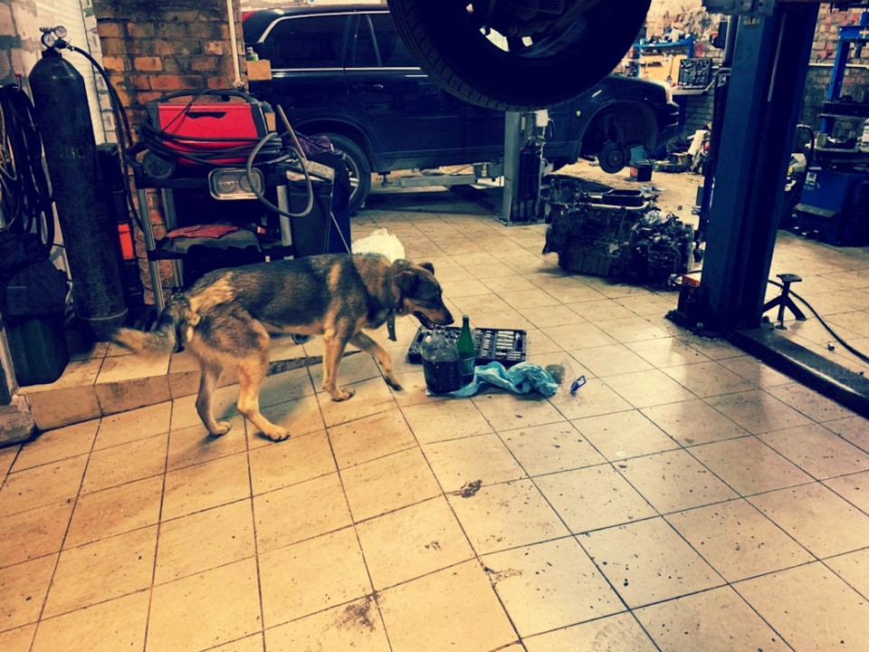 FNp5bqXhAfy MKOv59HtpWi 8Rc 960 Как крепится акпп к кузову