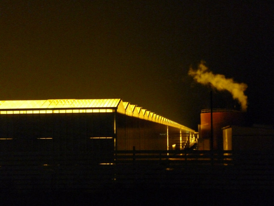 Планы на весну. 1:убрать адсорбер. Ваше мнение. — Hyundai Elantra (4G ...