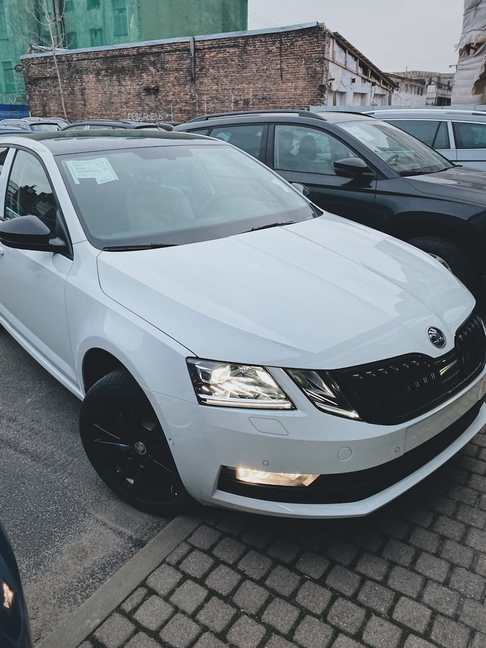 Наш первый день вместе. Выдача, МРЭО, тонировка — Skoda Octavia A7 Mk3, 1,8  л, 2020 года | покупка машины | DRIVE2