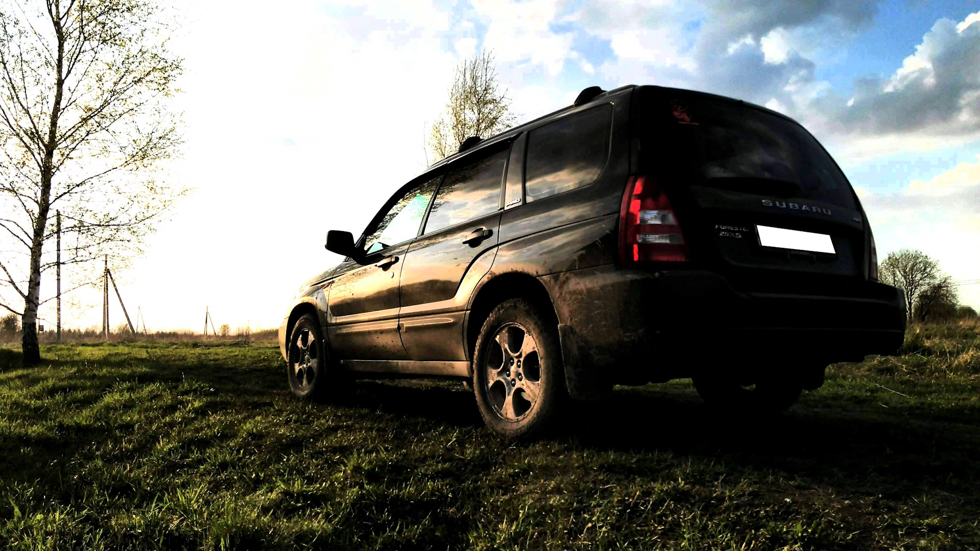 Forester 6